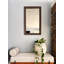 Miroir Vanhoose-1611146896-1725323131