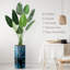 Arbre artificiel signleader avec vase effet lézard bleu et blanc délavé, faux oiseau de paradis pour salon, chambre à coucher, bureau - 4,83 pieds (58 po)-1951236783