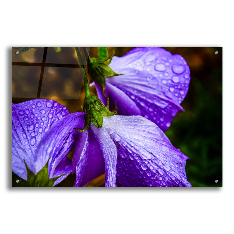 «Purple Rain» par Pamela Plummer, H 24 po x l 36 po x P 0,2 po