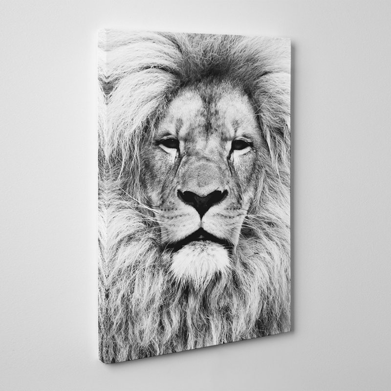 Wrapped Canvas Print, 76cm H x 50cm W