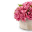 Aurelia RealTouch Hydrangea Arrangement-112890569