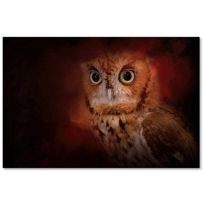 «Owl» de Vidur, impression sur toile tendue, 16 po x 24 po
