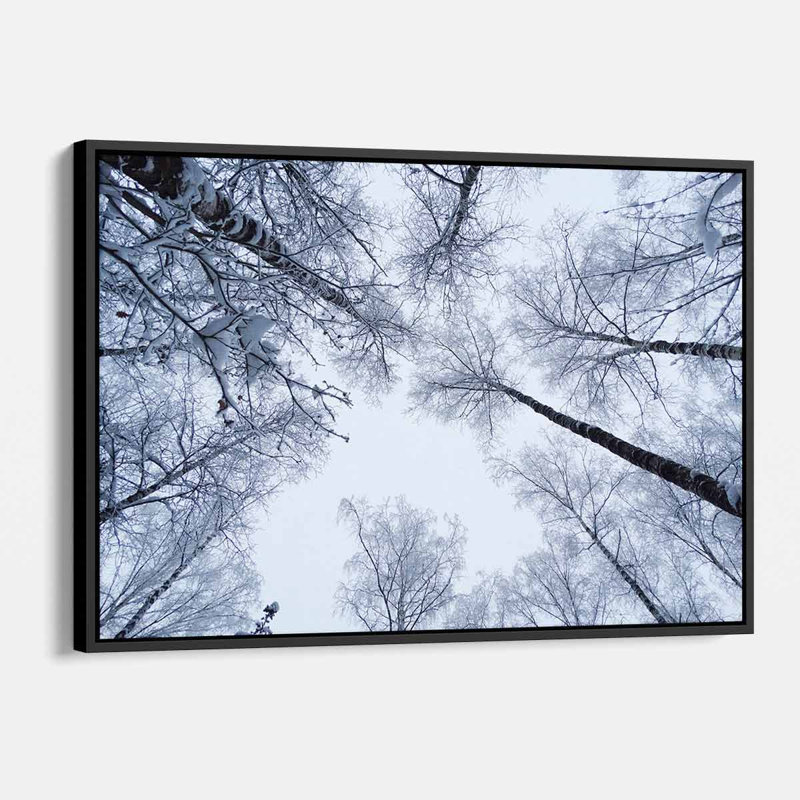 " White Winter ", Black Floater Framed, 16" H x 20" W