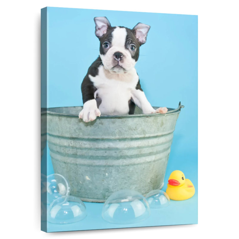 Brampt Bathing Terrier Dog, 12" H x 8" W