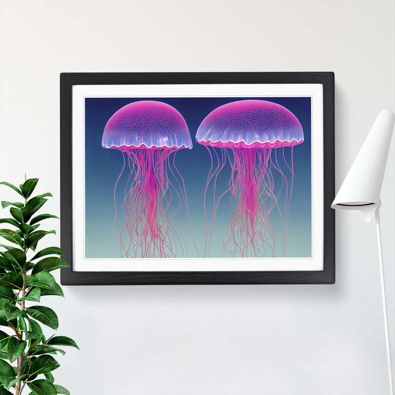 Jellyfish - Single Picture Frame Print, Black, 46cm H x 64cm W x 2cm D