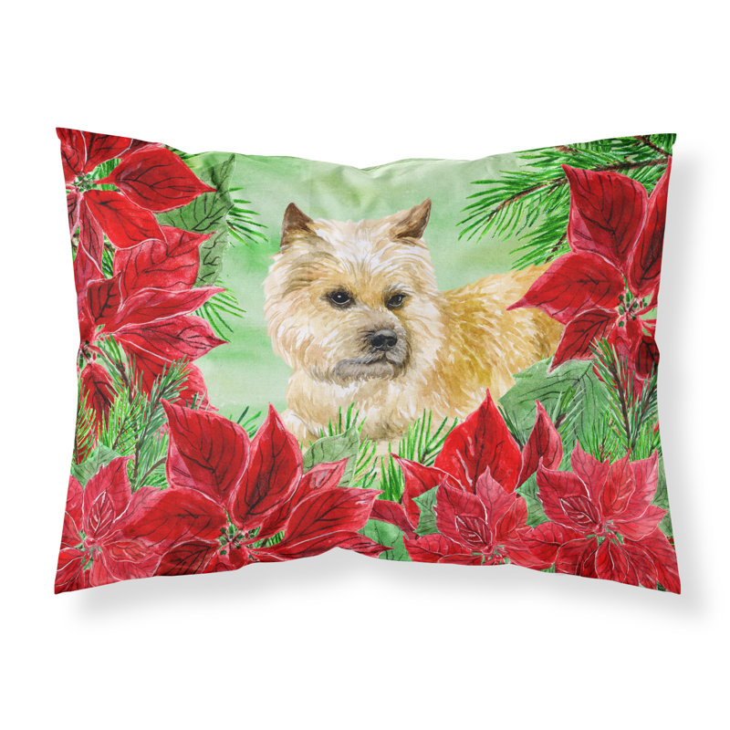 Taie d’oreiller poinsettas, Cairn terrier