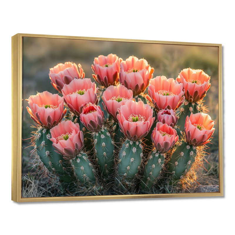 Cactus en pleine floraison à l'aube I - art mural cactus, H 16 po x l 32 po, Cadre flottant, Doré