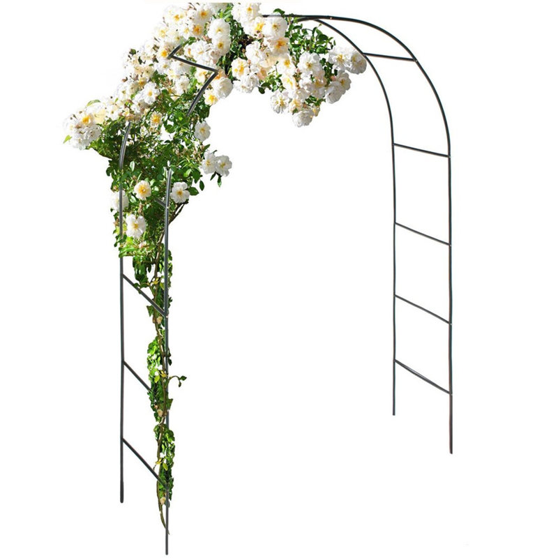 Alkhoury 140cm W x 40cm D Metal Garden Arches in Black