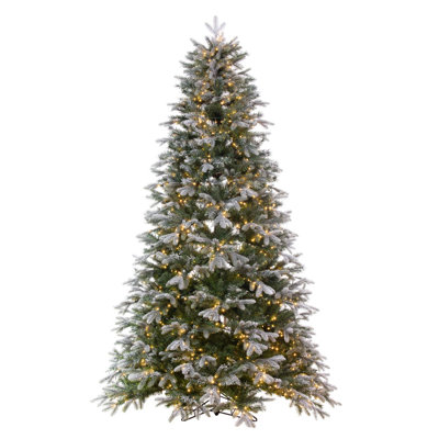Douglas 10' Lighted Fir Christmas Tree