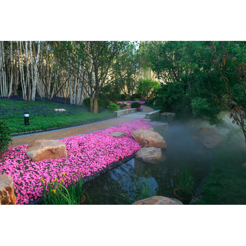 Spring Flowers In The China Garden by 00one - No Frame Art Prints on Canvas, 30cm H x 46cm W