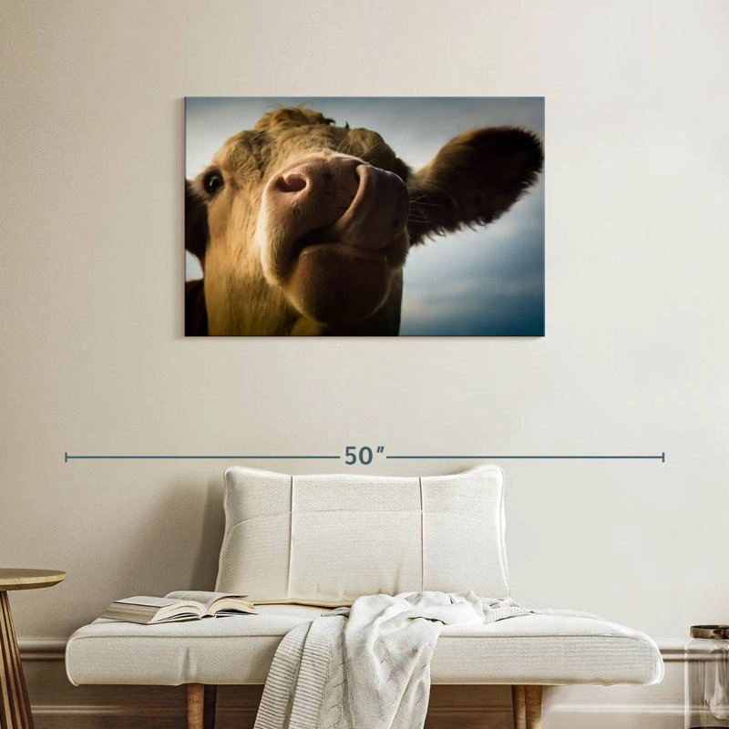 Vache ridicule, H 24 po x l 36 po