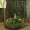 Vase de table Urbank