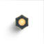 Wink Lantern-64076256-64076259