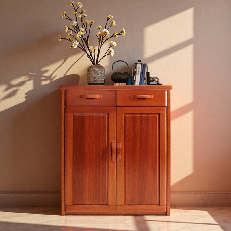 Modern simple storage shoe cabinet