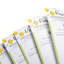 Cahier de recettes