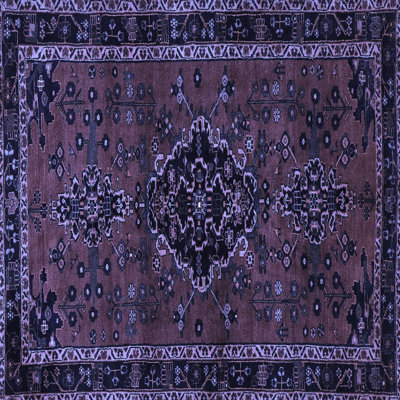 Oriental Indoor Rug