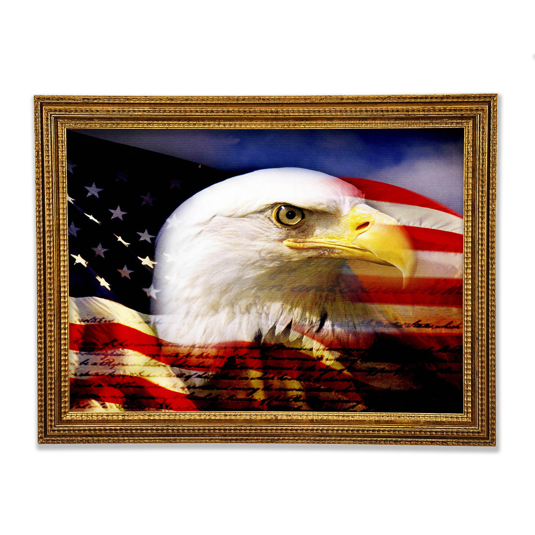 American Eagle Flagge - Druck