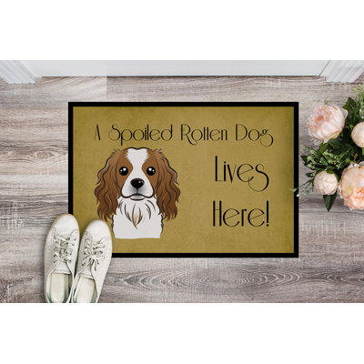 Traer Non-Slip Outdoor Doormat