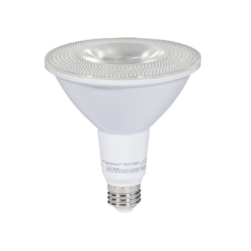 Ampoule à DEL PAR30 de 11 watts à intensité non variable, culot moyen E26 (standard), 5K
