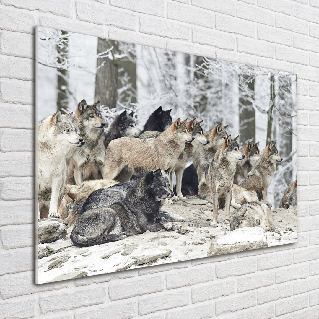 Glasbild Wolves In The Winter