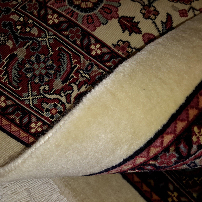 Wilhemenia Oriental Area Rug in Beige