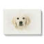 Golden Retriever Puppy in Abstract - Wrapped Canvas-55315282
