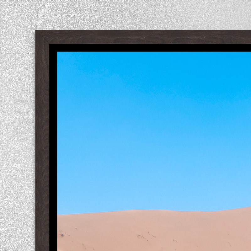 Namibian Skeleton Trees VII Print by Richard Silver, 31.75" H x 46.75" W, Image Brush Gel
