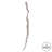 Cipo Escada, Dried Cipo Escada, Dried-584226363