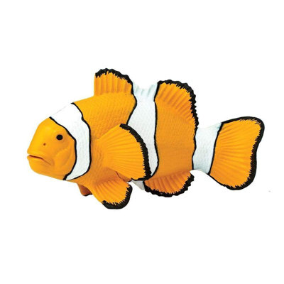 Poisson-clown anémone