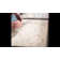 Carman Performance Damask Rug