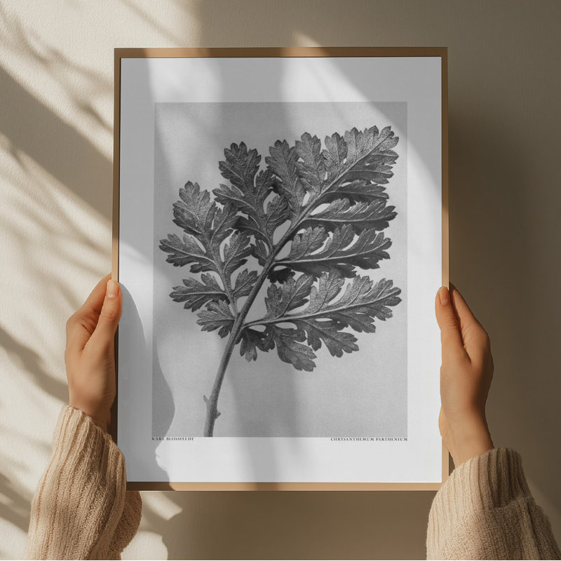 Wrapped Canvas Print, 121.92 cm H x 81.28 cm W