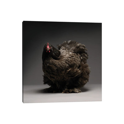 Cochin par Chicken - Photographie sur toile tendue