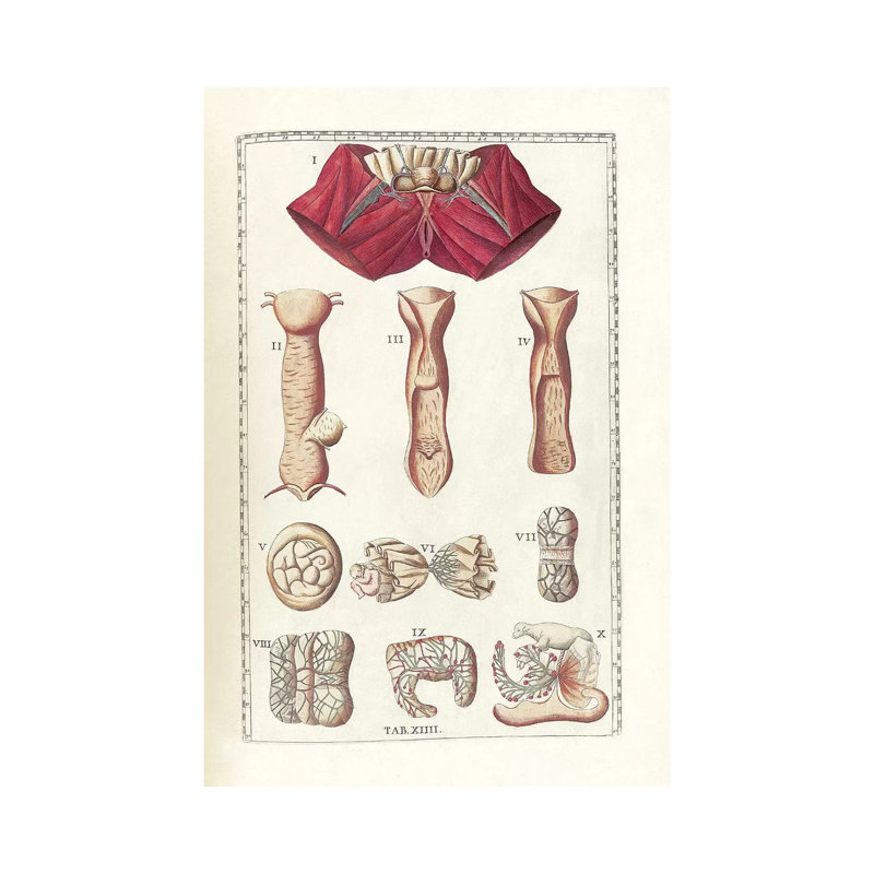 «The Science of Human Anatomy I» par National Library of Medecine, impression sur toile tendue, H 12 po x l 8 po x P 0,75 po