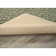 Edith Floral Machine Made Tufted Polypropylene Area Rug in Green
