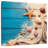 Aletra Under The Sea Trinkets-109391448