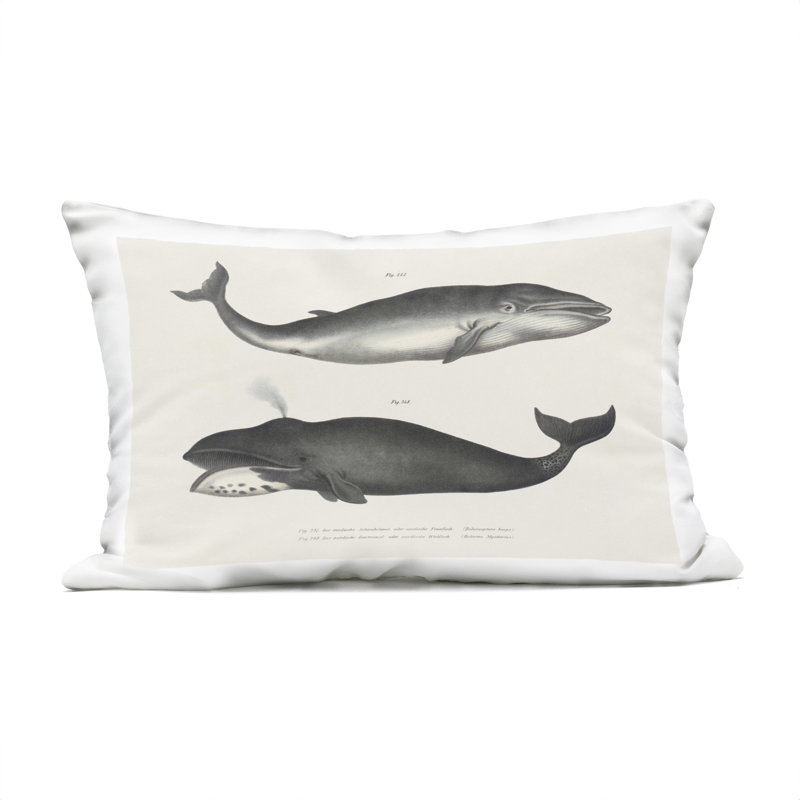Coussin d'extérieur rétro avec motif de baleines par Phillipa Katz