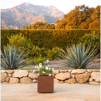 Corten Steel Series Cube Planter Box