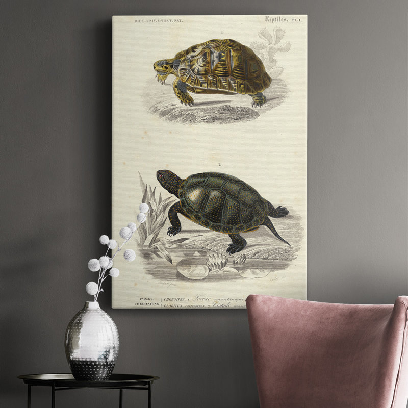 Tortue antique duo II - peinture sur toile tendue, H 18 po x l 12 po x P 1,5 po