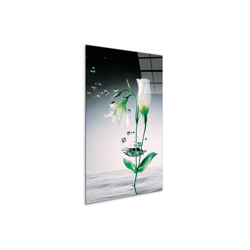 "White flowers" by Studio 53×79.5 cm CrystalArt Acrylic Glass Effect, Lightweight Ready to Hang