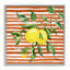 Vigne juteuse sur giclée rouge encadrée, design par Paul Brent-117385403-117385400