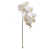 Blanc est en rupture de stock