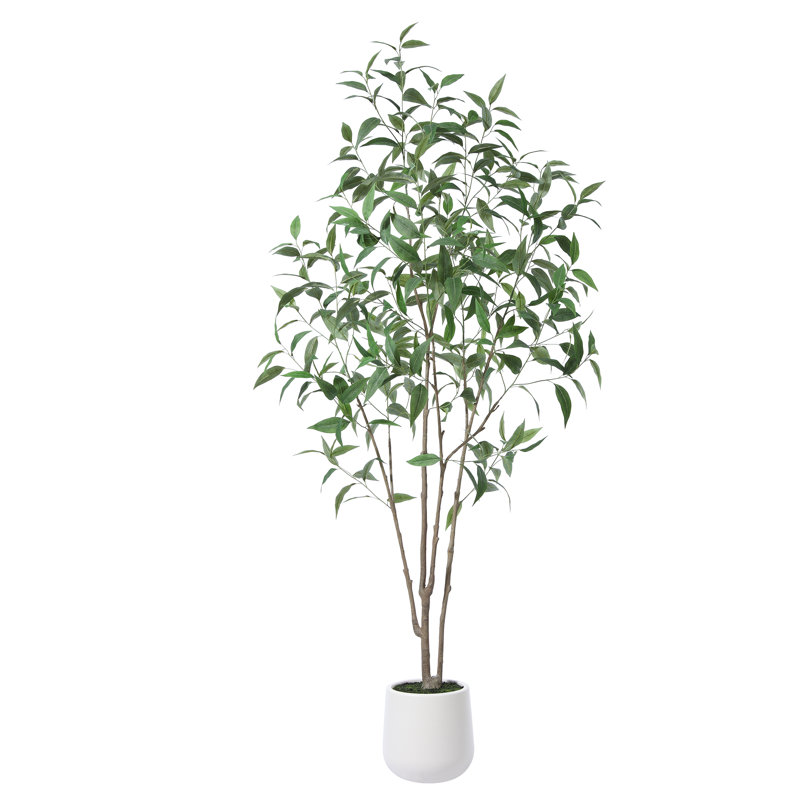 Arbre à eucalyptus AdcockFaux avec pot rond blanc, plante d'eucalyptus pré-empotée pour la décoration intérieure