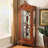 Maroon Solid Wood+Glass Display Cases