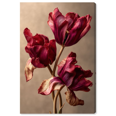 Dark Silk Remains Print by Oliver Gal