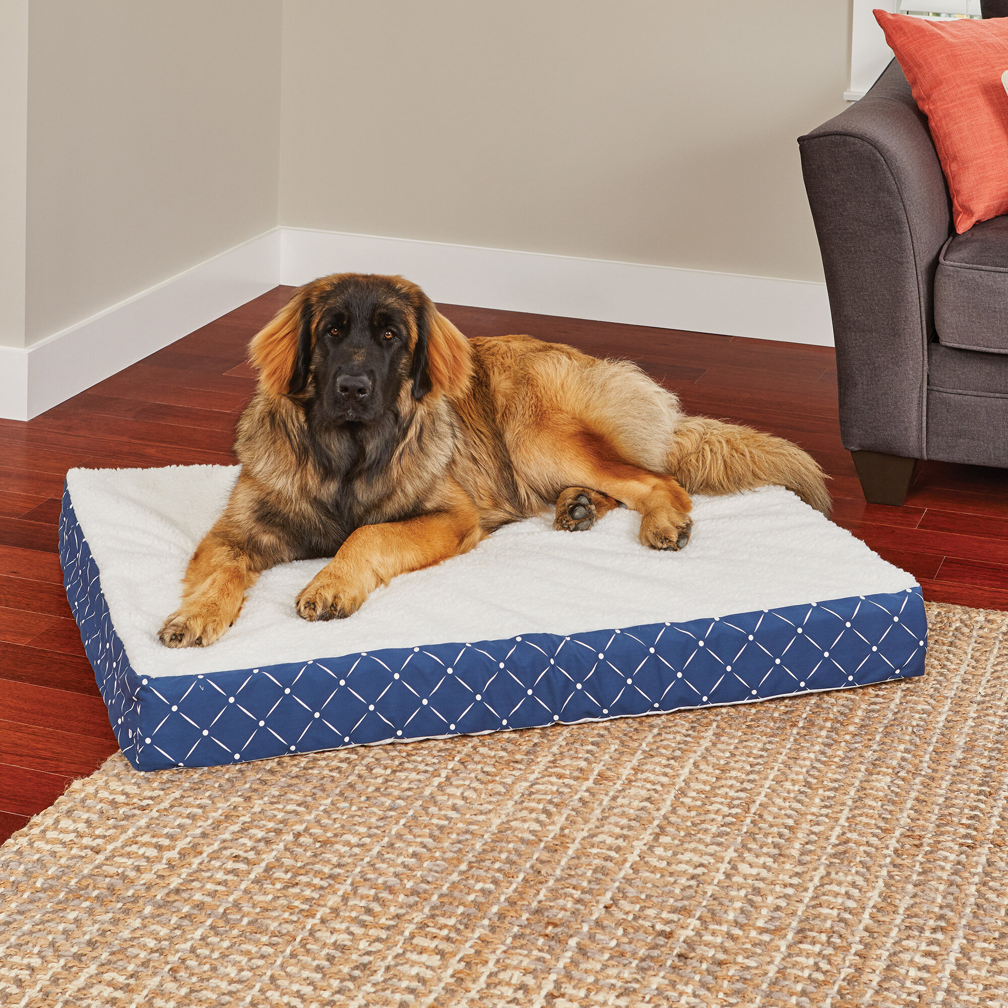 Thick orthopedic clearance dog bed