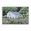 Maison de campagne dans le jardin, estampe numérique, conception par Lori Deiter