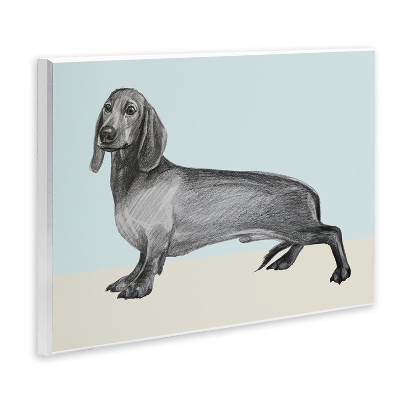Teckel esquissé sur plaque murale bleue, design par Violeta Vollmer, H 13 po x l 19 po