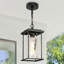 Dekotah Outdoor Hanging Lantern