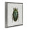 Beetle avec motif botanique encadré sur toile flottante par Danhui Nai