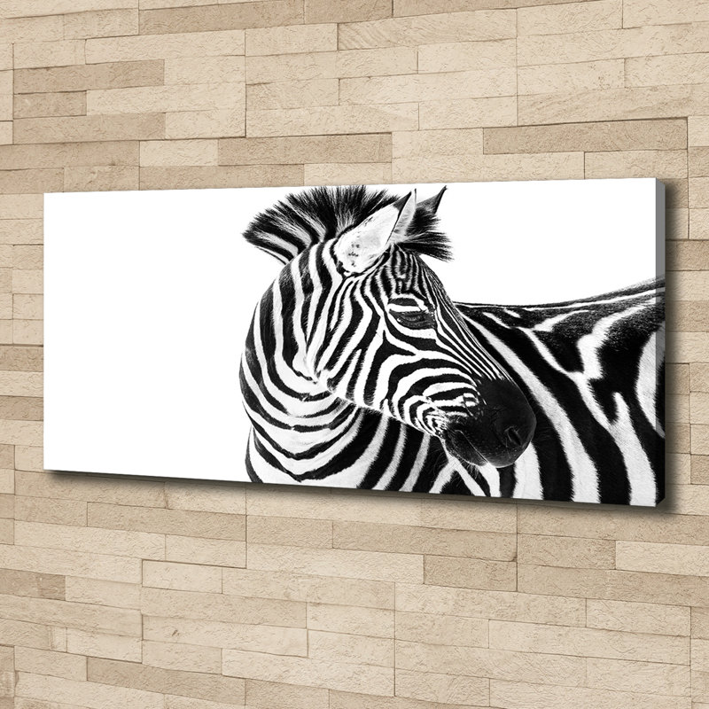Zebra In The Snow - Wrapped Canvas Print